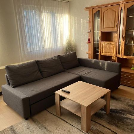 Schoene Ferienwohnung In Sarrebruck Exterior foto
